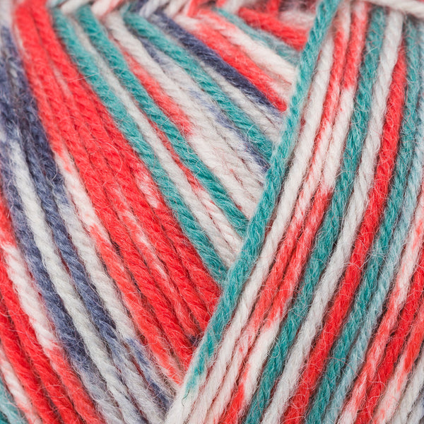 REGIA アルネ＆カルロス (4本撚り) 03760 – けいとや