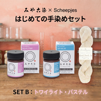 【染色キット】ソックヤーン 電子レンジでできる手染め　染料＆毛糸＆解説書