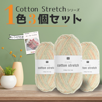 【送料無料】【予約】同色3玉スニーカーソックス・キット