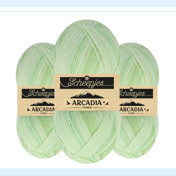 【予約】【単品】ソックヤーン トーン アルカディア 702 Scheepjes-シェイプイェス
