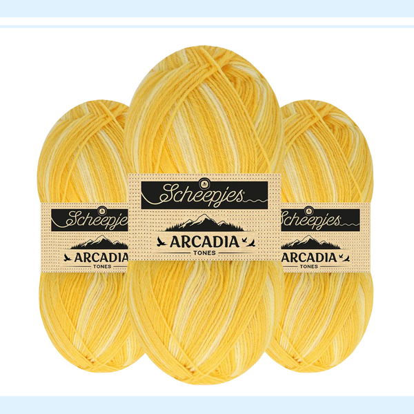 【予約】【単品】ソックヤーン トーン アルカディア 703 Scheepjes-シェイプイェス