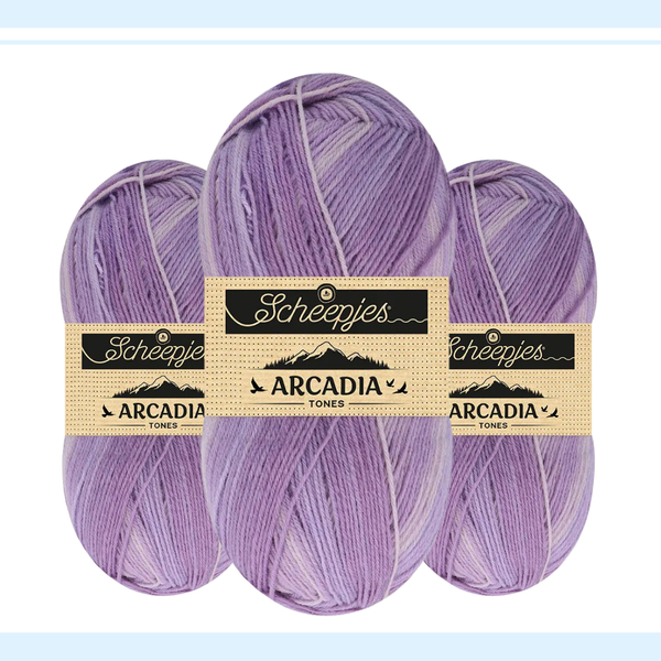 【予約】【単品】ソックヤーン トーン アルカディア 704 Scheepjes-シェイプイェス