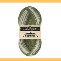 【予約】【単品】ソックヤーン ロングピッチ アルカディア 905 Scheepjes-シェイプイェス