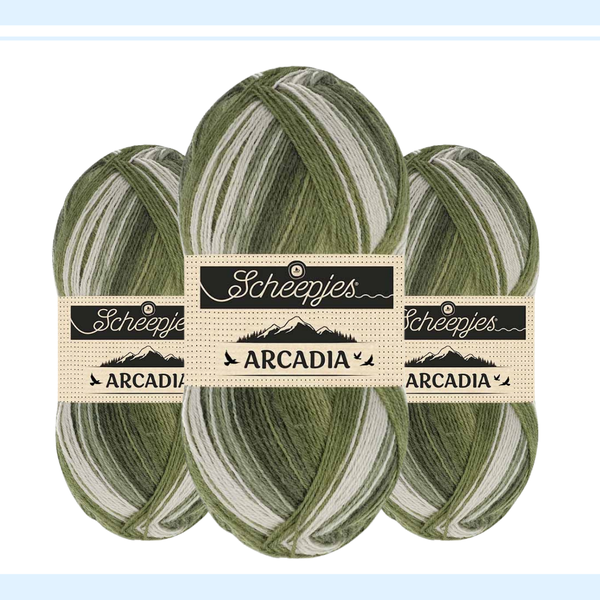 【予約】【単品】ソックヤーン ロングピッチ アルカディア 905 Scheepjes-シェイプイェス