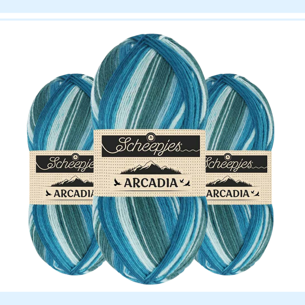 【予約】【単品】ソックヤーン ロングピッチ アルカディア 906 Scheepjes-シェイプイェス