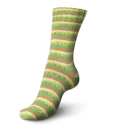 REGIA トゥッティ・フルッティ 02418 キウイ – けいとや